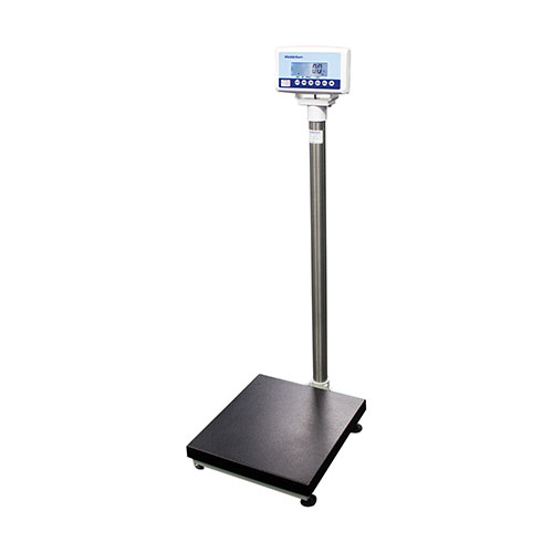 Medical Scales