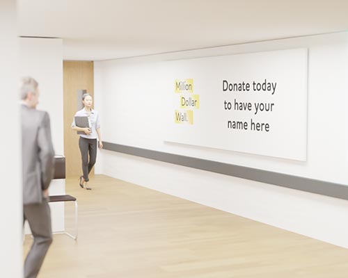 A render of the million dolalr wall at the Taranaki Cancer Centre